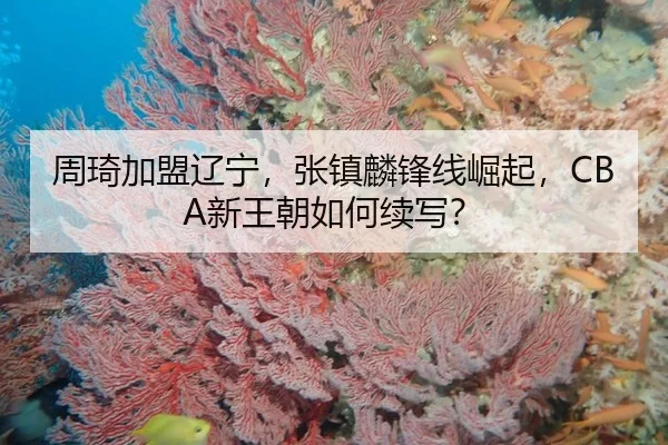 zhou-qi-jia-meng-liao-ning-zhang-zhen-lin-feng-xian-jue-qi-xin-wang-chao-ru-he-xu-xie-2-994.jpg
