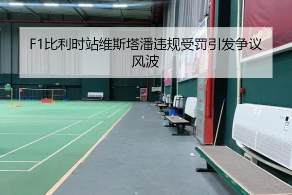 F1比利时站维斯塔潘违规受罚引发争议风波