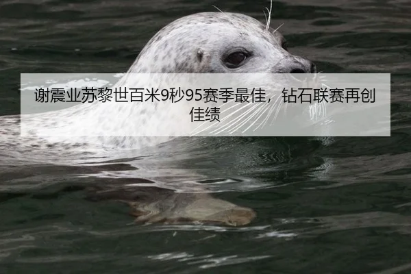 谢震业苏黎世百米9秒95赛季最佳，钻石联赛再创佳绩