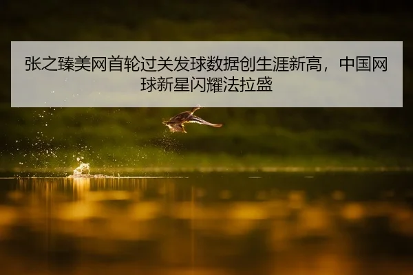 张之臻美网首轮过关发球数据创生涯新高，中国网球新星闪耀法拉盛